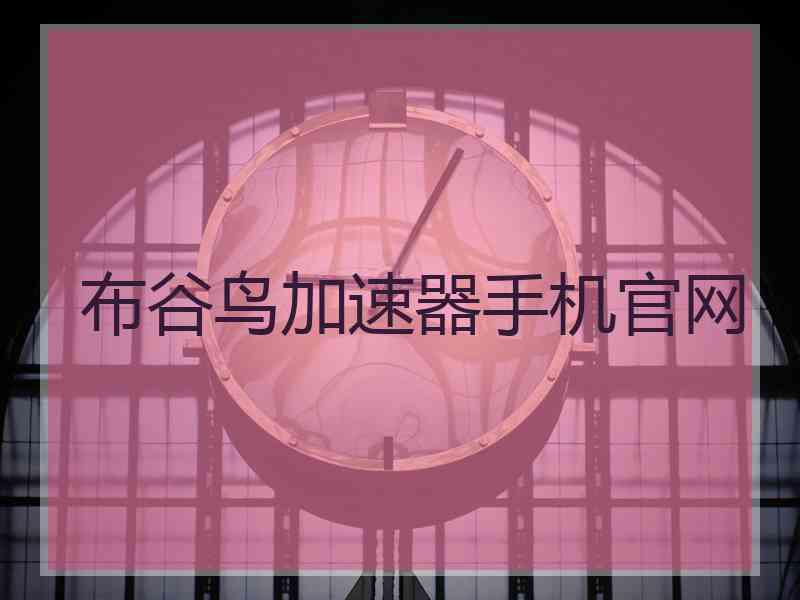 布谷鸟加速器手机官网