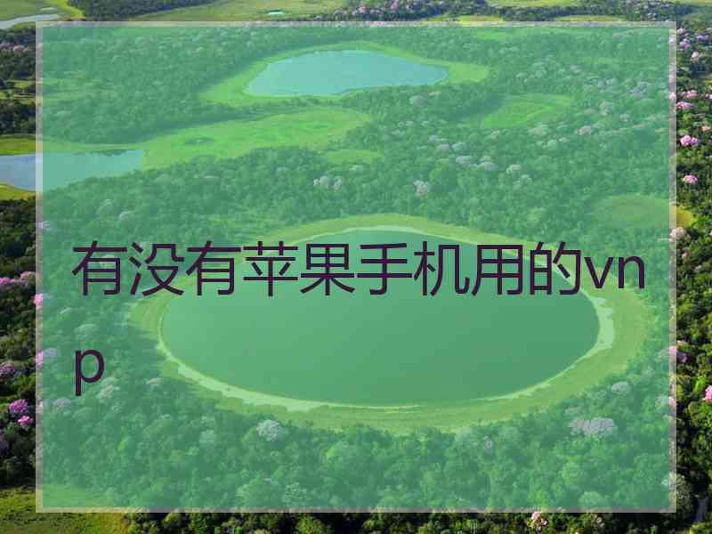 有没有苹果手机用的vnp