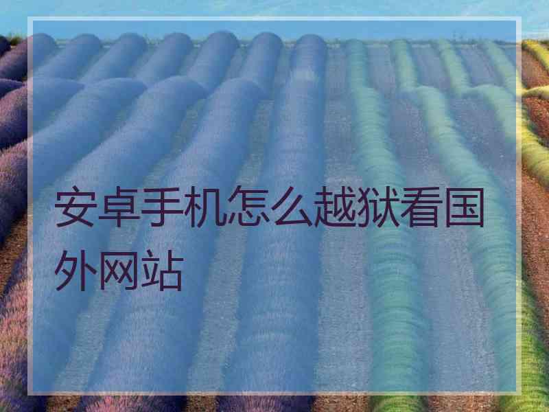 安卓手机怎么越狱看国外网站