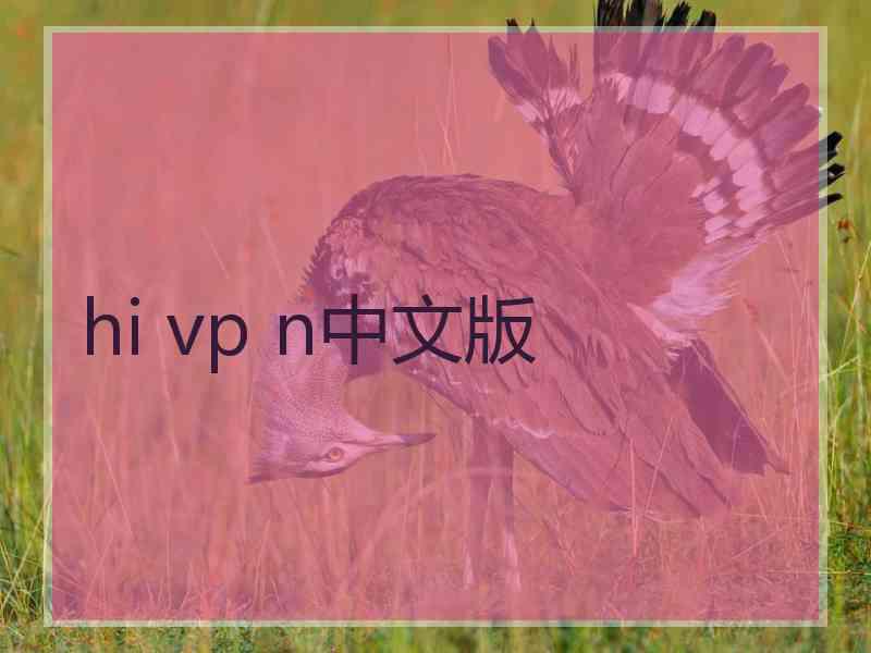hi vp n中文版