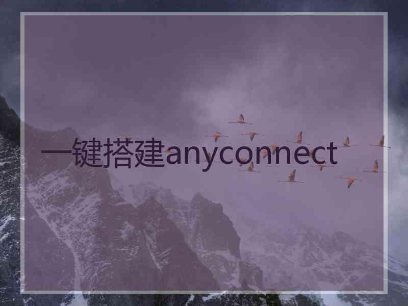 一键搭建anyconnect