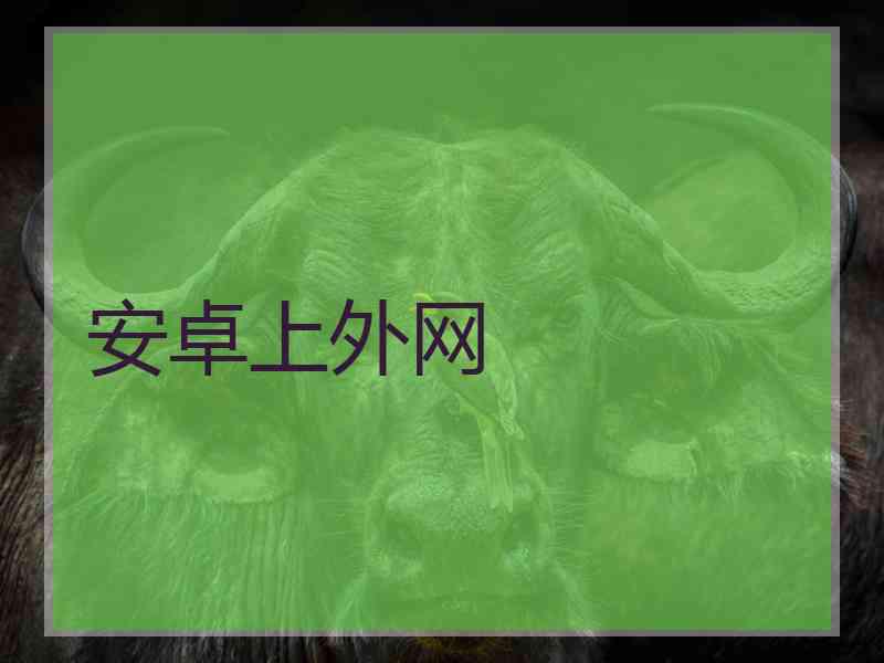 安卓上外网