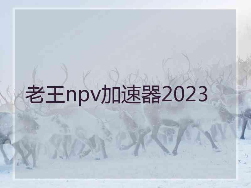 老王npv加速器2023