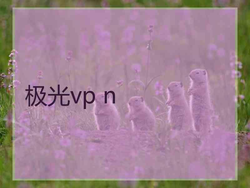 极光vp n