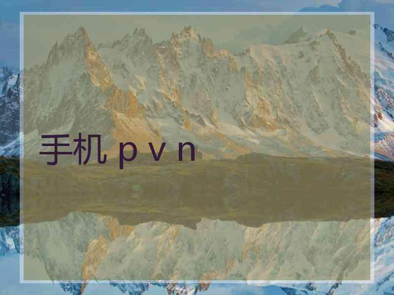 手机 p v n