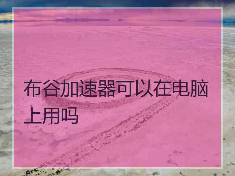 布谷加速器可以在电脑上用吗