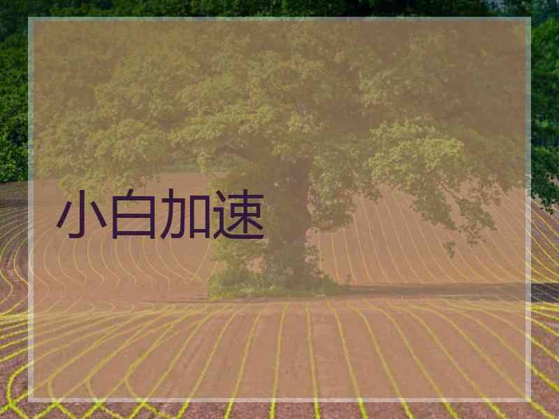 小白加速
