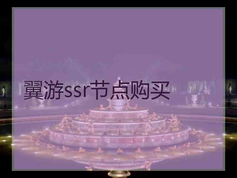 翼游ssr节点购买