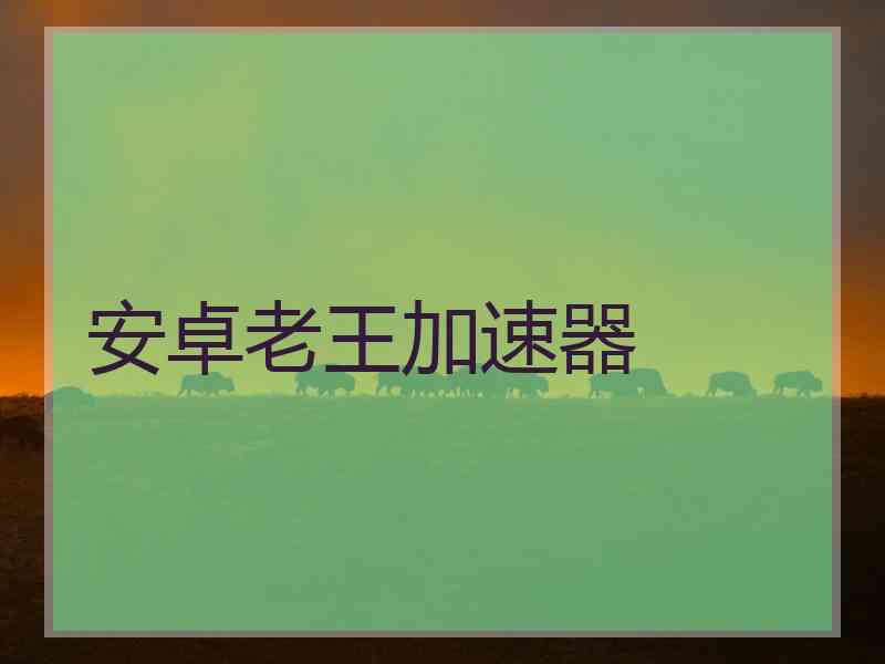 安卓老王加速器
