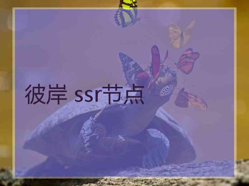 彼岸 ssr节点