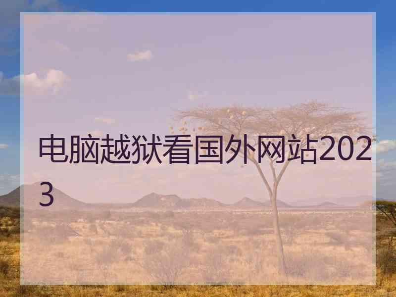电脑越狱看国外网站2023