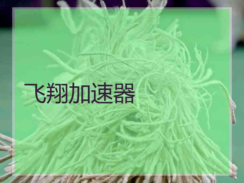 飞翔加速器