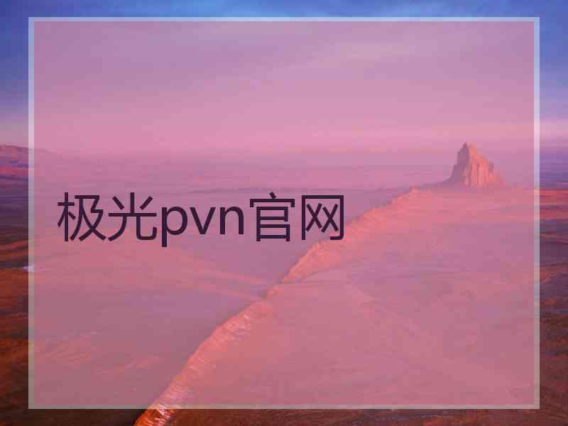 极光pvn官网