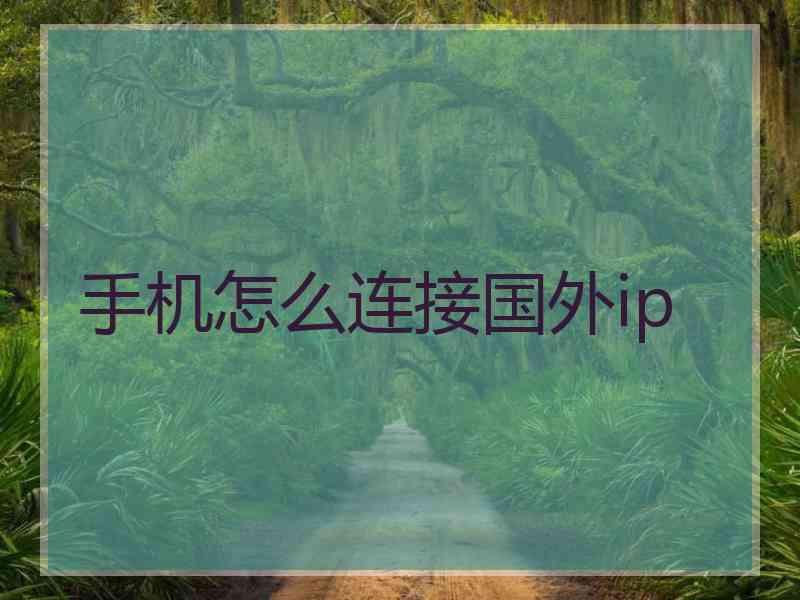 手机怎么连接国外ip