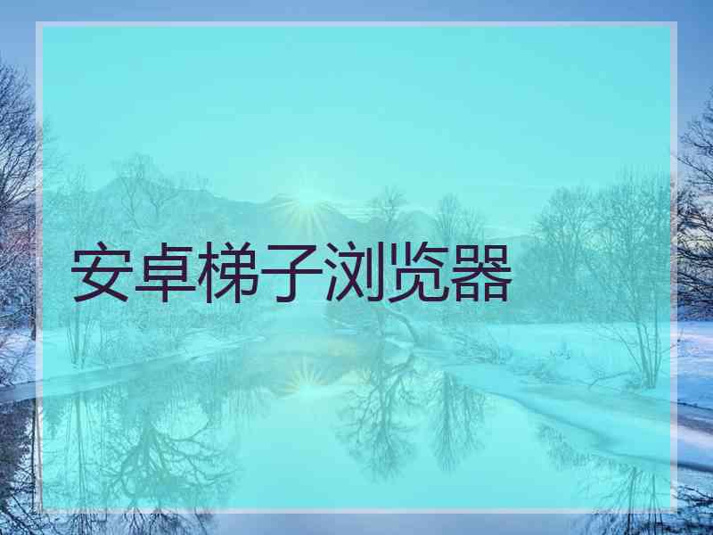 安卓梯子浏览器