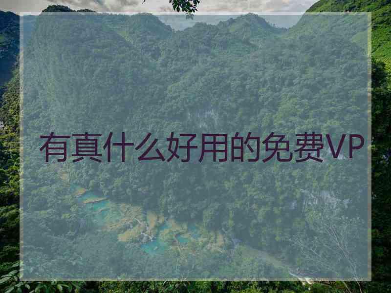 有真什么好用的免费VP