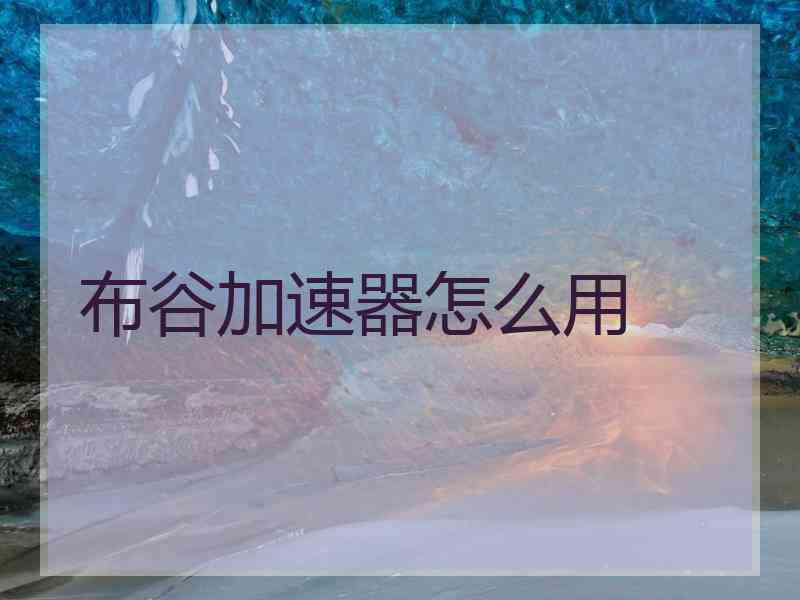 布谷加速器怎么用