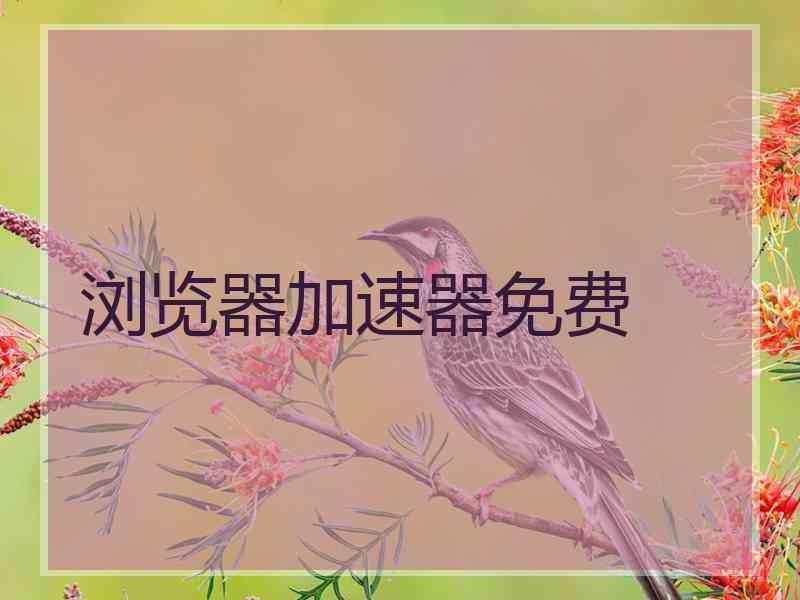 浏览器加速器免费