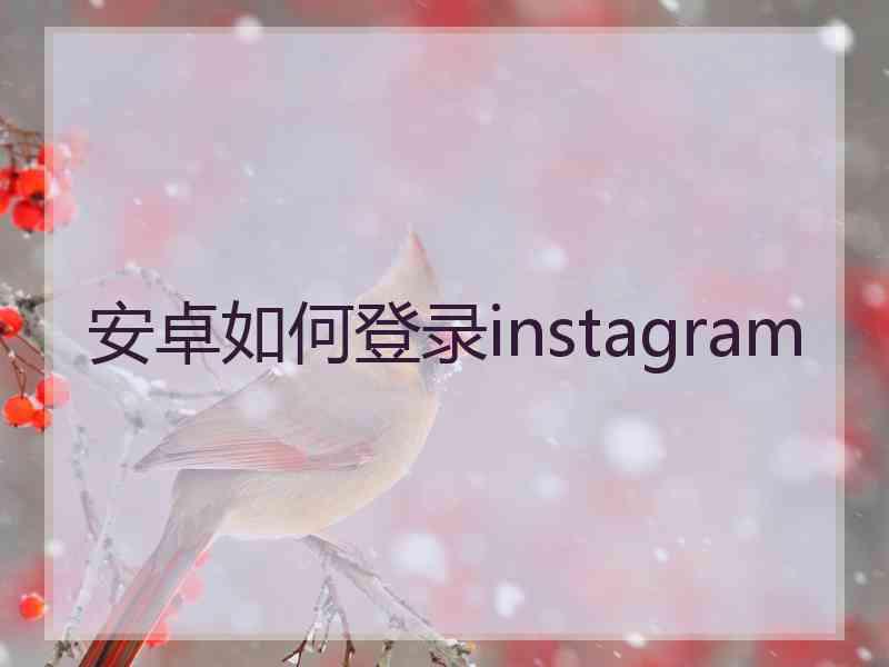 安卓如何登录instagram