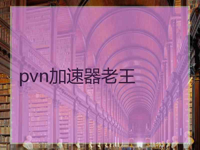 pvn加速器老王