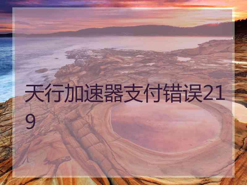 天行加速器支付错误219