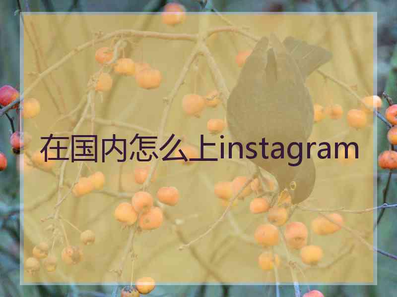 在国内怎么上instagram