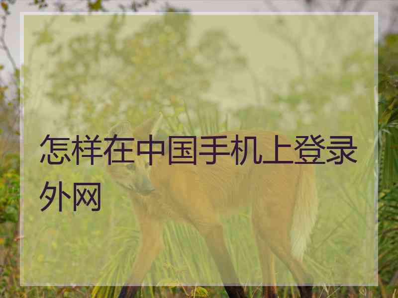 怎样在中国手机上登录外网