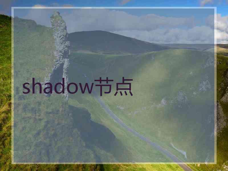 shadow节点
