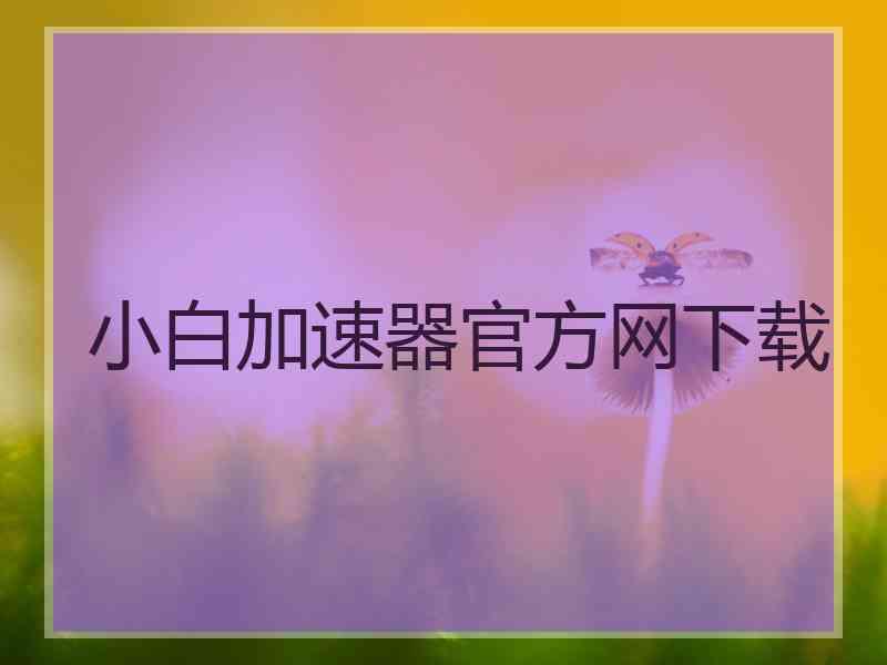 小白加速器官方网下载