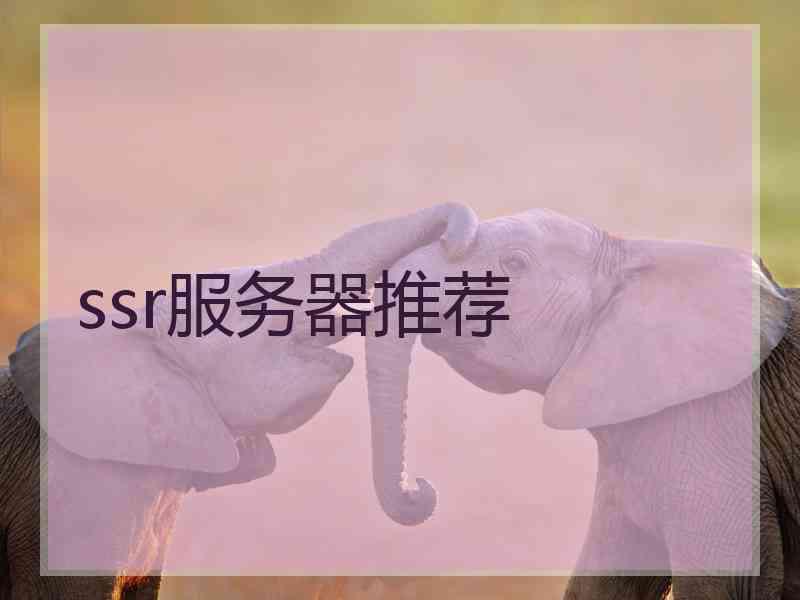 ssr服务器推荐