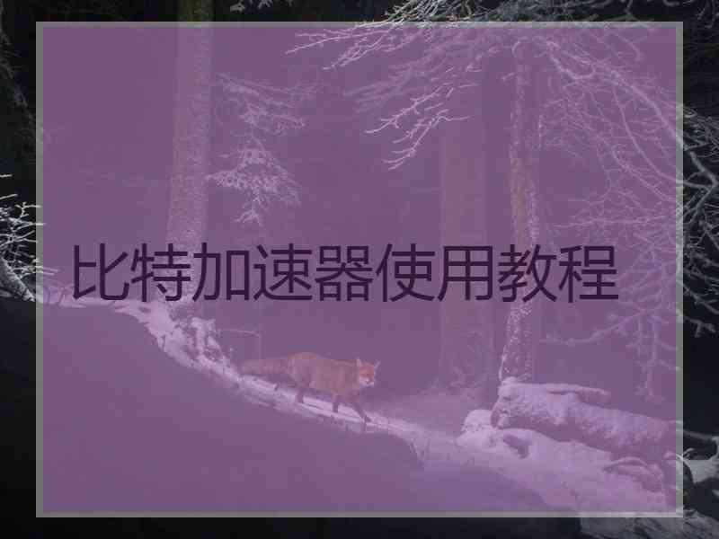 比特加速器使用教程