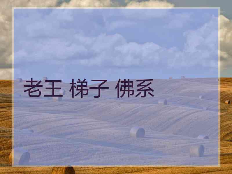 老王 梯子 佛系