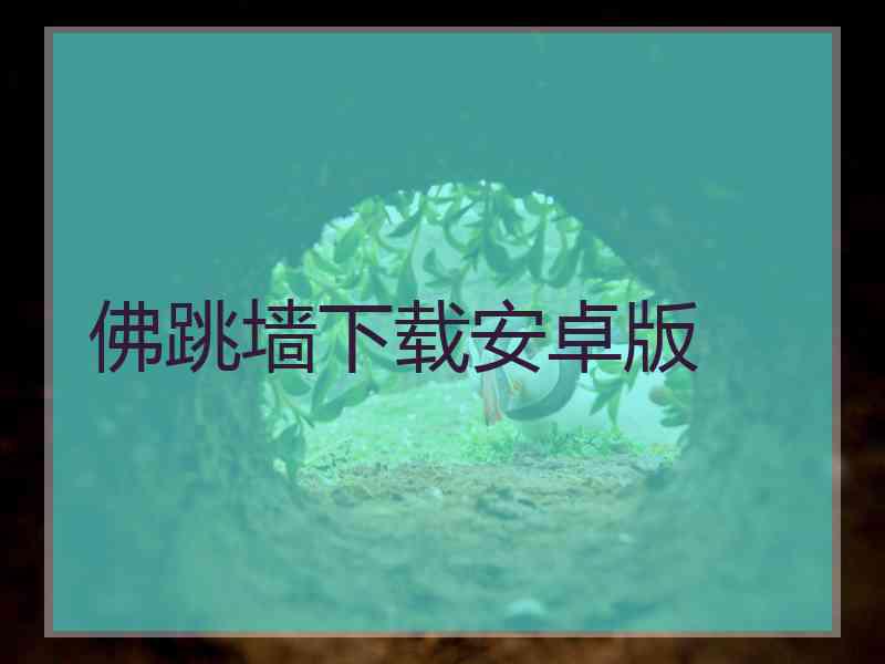 佛跳墙下载安卓版
