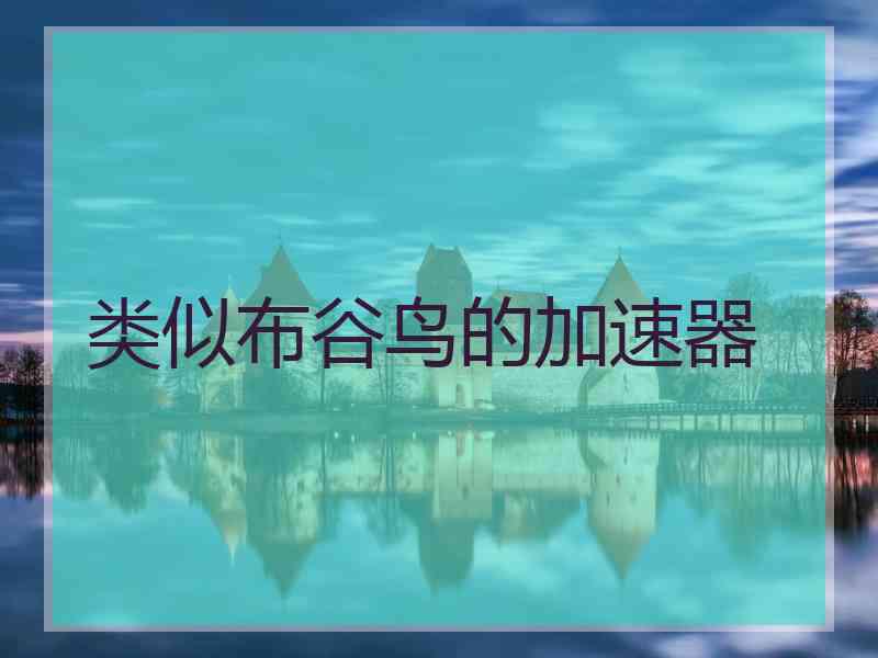 类似布谷鸟的加速器