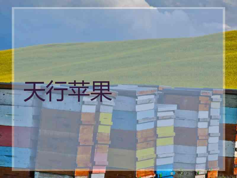 天行苹果