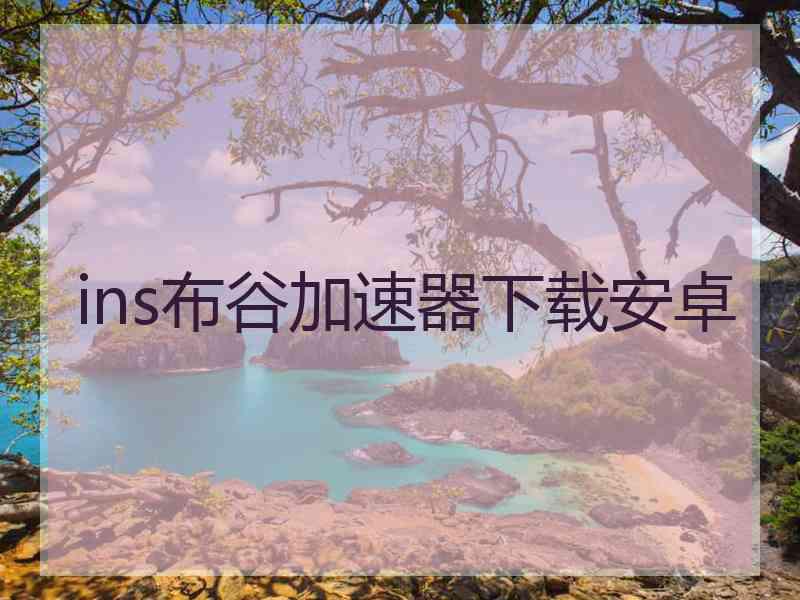 ins布谷加速器下载安卓
