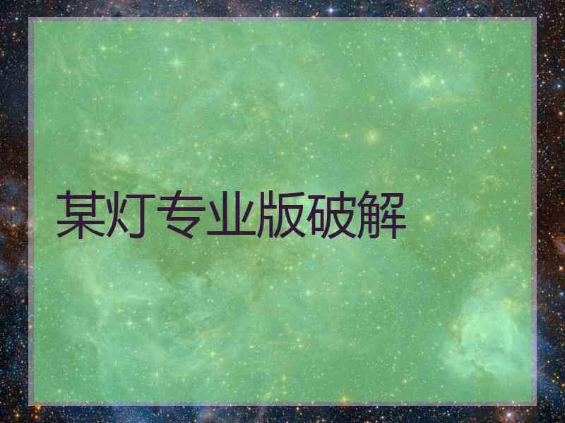 某灯专业版破解