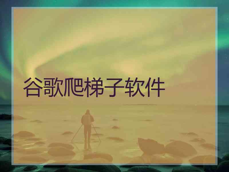 谷歌爬梯子软件