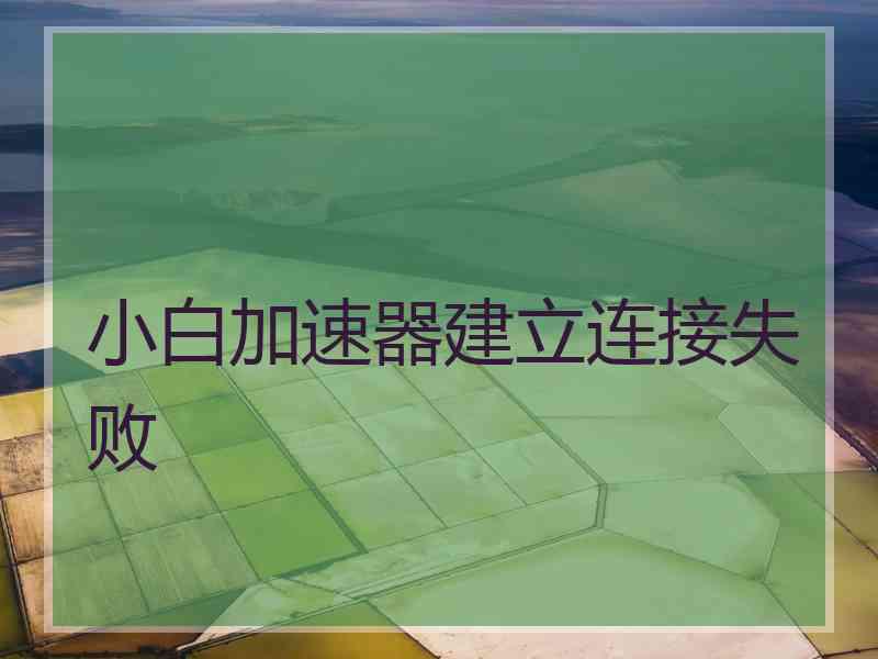 小白加速器建立连接失败
