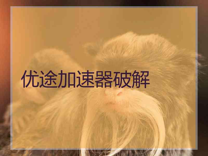 优途加速器破解