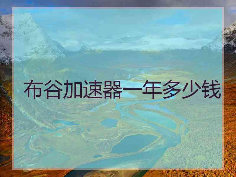 布谷加速器一年多少钱