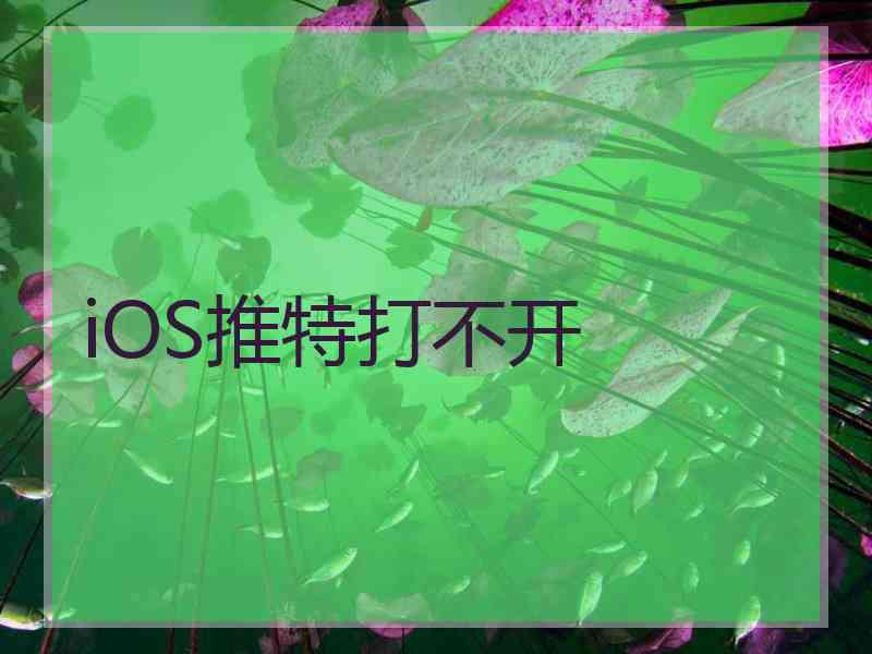iOS推特打不开