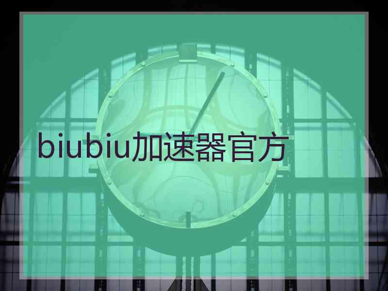 biubiu加速器官方