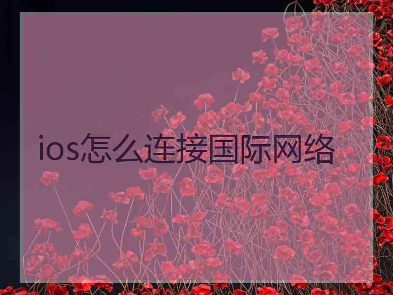 ios怎么连接国际网络