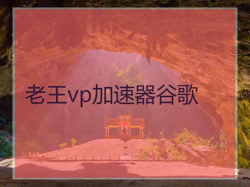 老王vp加速器谷歌