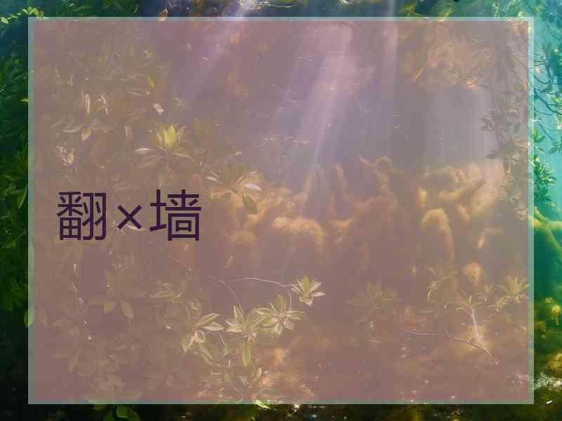 翻×墙