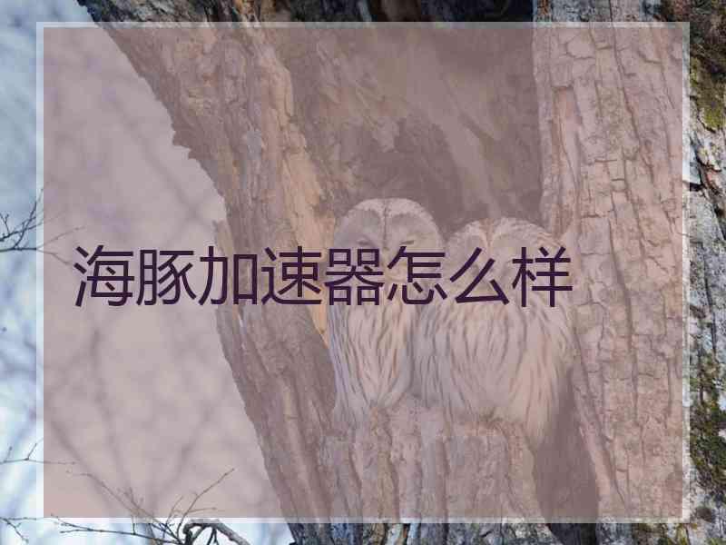 海豚加速器怎么样