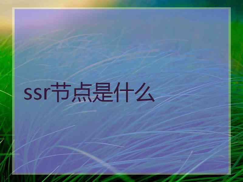 ssr节点是什么