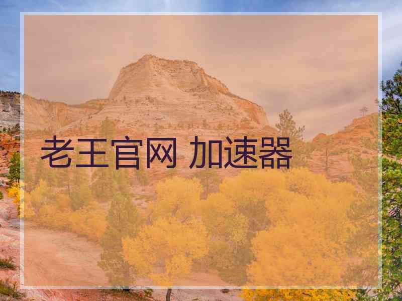 老王官网 加速器