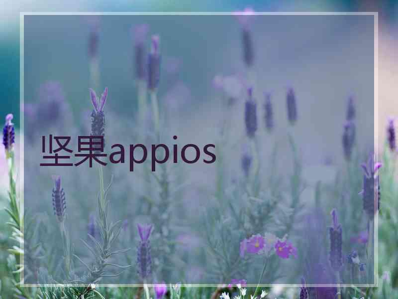 坚果appios